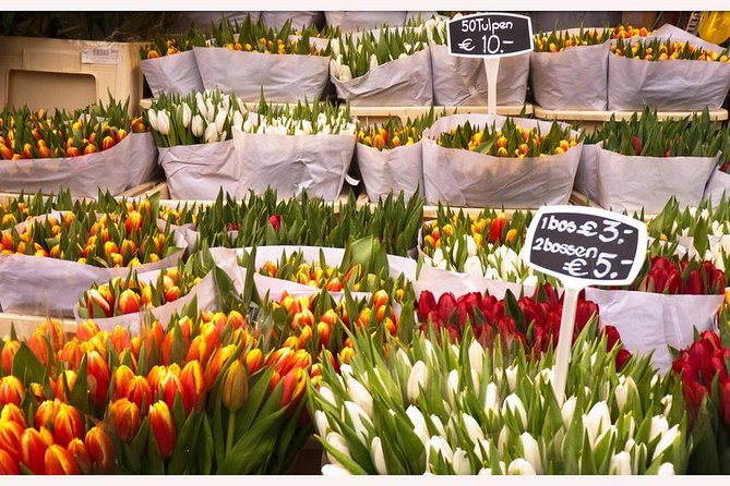 Amsterdam: E-Bike Sightseeing Tour - Dam Square and Amsterdam’s major monuments