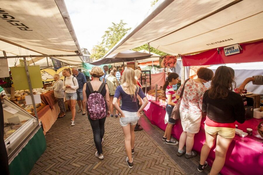 Amsterdam: Hidden Gems & Highlights Guided Bike Tour - Museum Square and Amsterdam’s cultural center