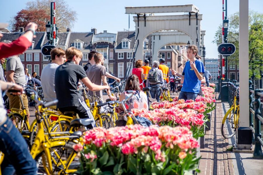 Amsterdam: Relaxed City Highlights Guided Bike Tour - What the $34 price buys you