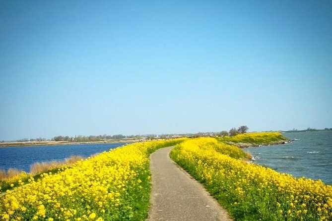 Amsterdam's Countryside Half-Day Bike Tour in Small Group - Leaving Amsterdam for the Waterland region
