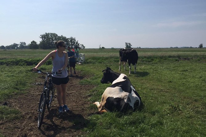 Amsterdam's Countryside Half-Day Bike Tour in Small Group - Seeing a country built below sea level