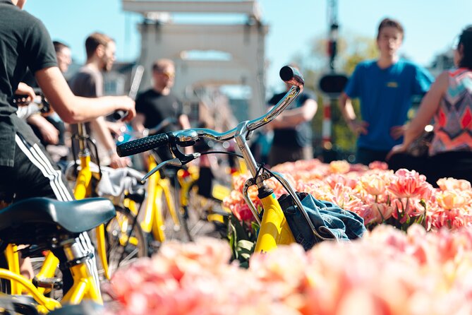 Amsterdam Small Group Bike Tour - Key points to know before you pedal