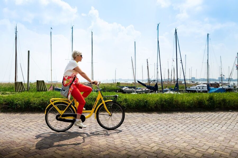 Amsterdam: Waterland District Countryside Villages Bike Tour - DAdmiraal Windmill and Waterlands Reclaimed Ground