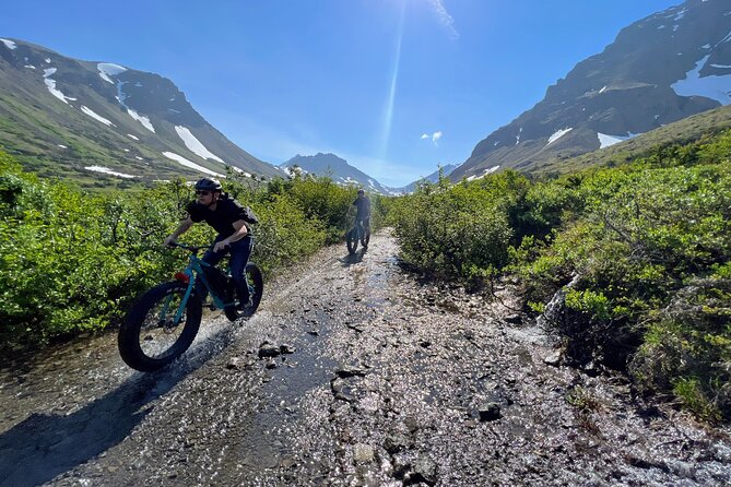 Anchorage Scenic Mountain Bike Tour - The equipment, snacks, and practical support