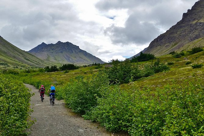 Anchorage Scenic Mountain Bike Tour - Timing and the real length of the day