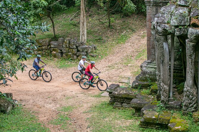Angkor Sunrise Bike Tour / E-Bike or Tuk Tuk - Ta Prohm and the appeal of the forest route