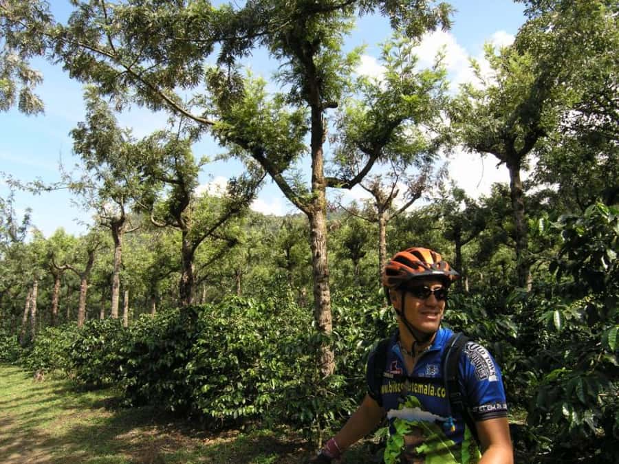 Antigua Sip 'n Cycle Half-Day Bike Ride and Coffee Tour - Practical tips for a smoother outing