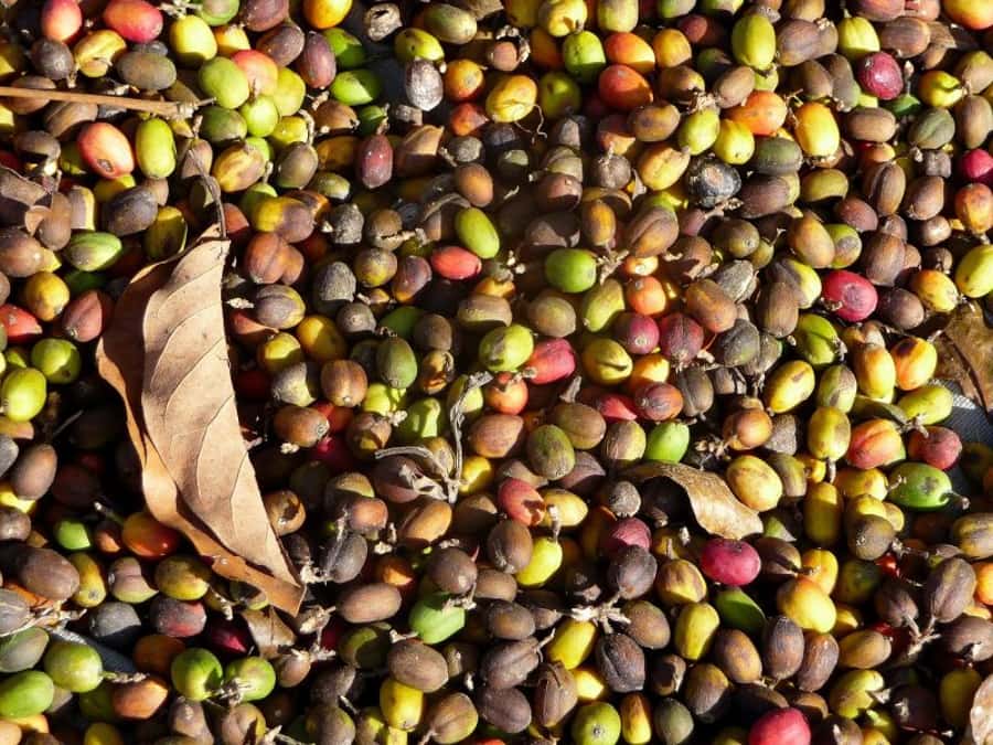 Antigua Sip 'n Cycle Half-Day Bike Ride and Coffee Tour - Mayan music, textiles, jade, and local crafts