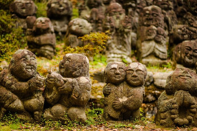 Arashiyama Bamboo Forest E-Biking Tour - Key points to know before booking