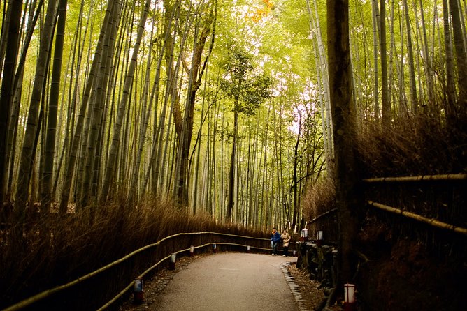 Arashiyama Bamboo Forest E-Biking Tour - Why this tour covers more than Arashiyama