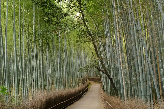 Arashiyama Bamboo Forest E-Biking Tour - Tōji-in Temple and a slower half hour