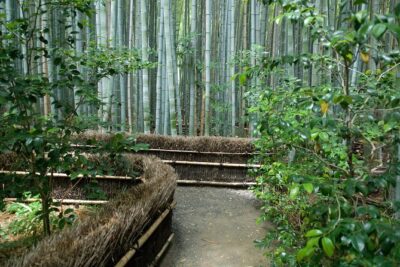 Arashiyama Bamboo Forest E-Biking Tour