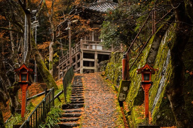 Arashiyama Bamboo Forest E-Biking Tour - The real pleasure is riding between the stops