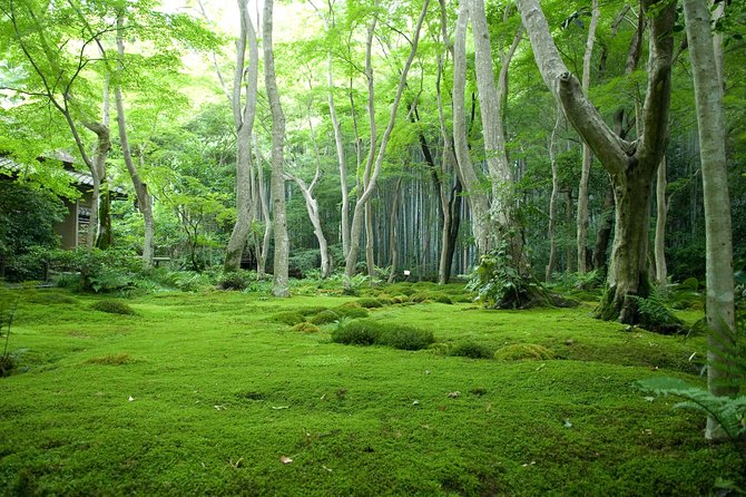 Arashiyama Bamboo Forest E-Biking Tour - What the $116 price includes
