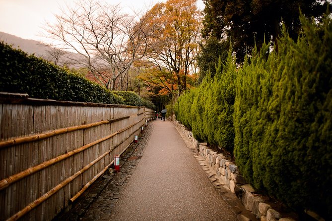 Arashiyama Bamboo Forest E-Biking Tour - Guides who shape the experience