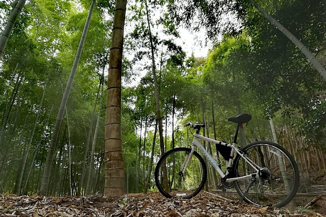 Arashiyama Bamboo Forest & Hidden Gems Bike Tour (Early Bird) - Rice fields, ponds, and the value of local scenery