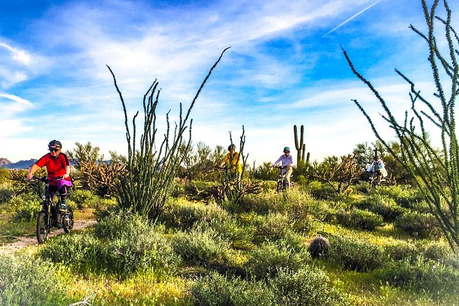 Arizona Desert Guided E-Bike Adventure - Why this Phoenix e-bike ride is different