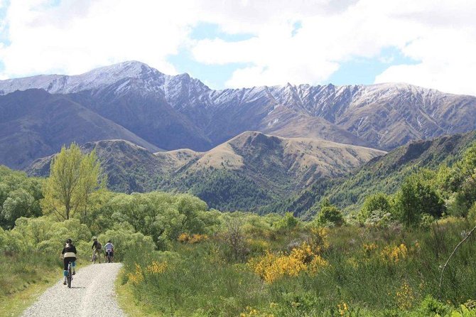 Arrowtown Mountain Bike Hire - Getting the best value from $52.75