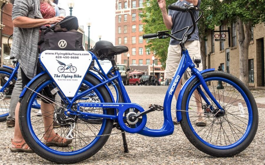 Asheville: Downtown E-Bike Tour - Families, children, and passenger options