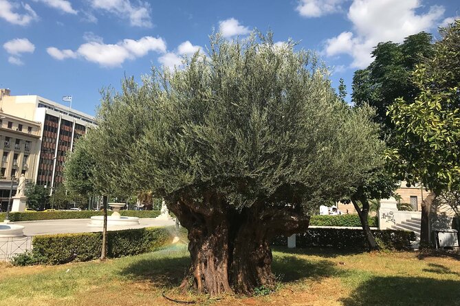 Athens by E-Bike: Monuments, Food & Transfers (Cruise Tour) - The Presidential Mansion and a formal Greek tradition