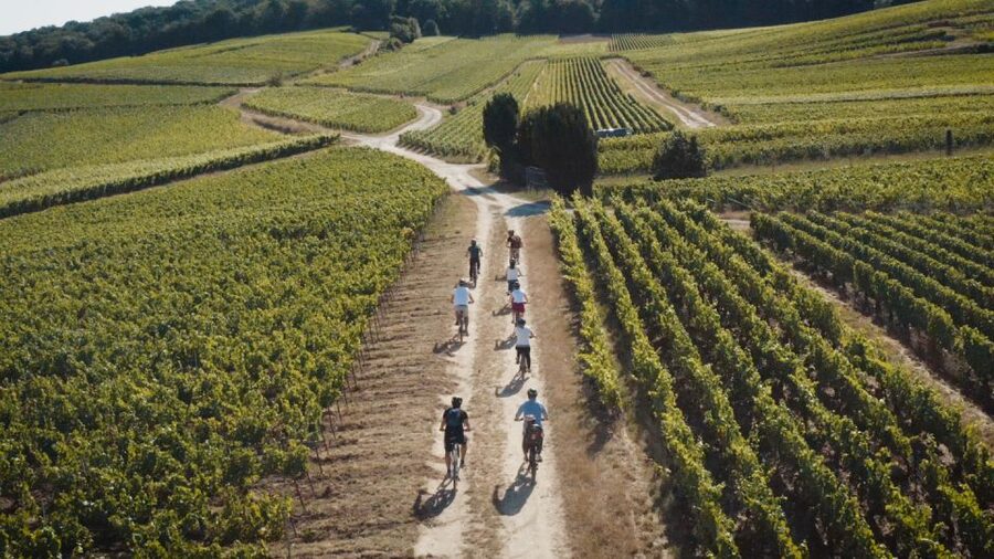 Au départ de REIMS : Ebike tour with a local guide ! - The first tasting with a view