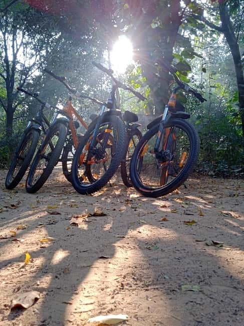 Auroville: Nature Trail Forest Cycling Adventure - Key points to know before you go