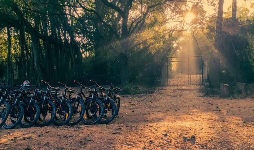 Auroville: Nature Trail Forest Cycling Adventure - The first 45 minutes on a mountain bike