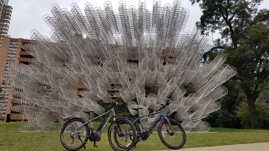 Austin: Electric Bike City Sightseeing Tour - The Texas State Capitol is the civic centerpiece