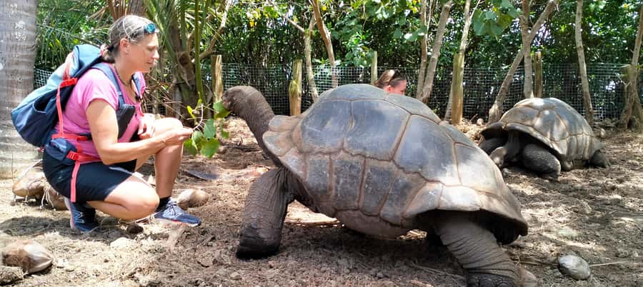 Authentic North East Coast E-bike Guided Tour - Mangroves, oysters, turtles, and very old tortoises