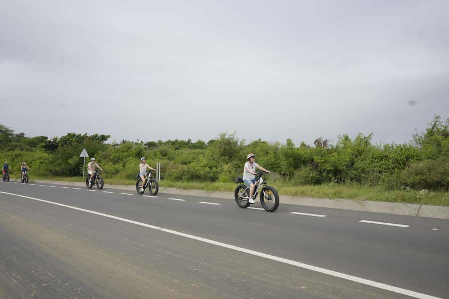 Authentic North East Coast E-bike Guided Tour - How much value do you get for $94?