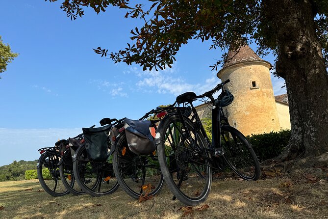 Backcountry E-Bike Adventure from Bordeaux: Wine Tasting & Lunch - From Jardin Public to Bordeaux’s Roman past