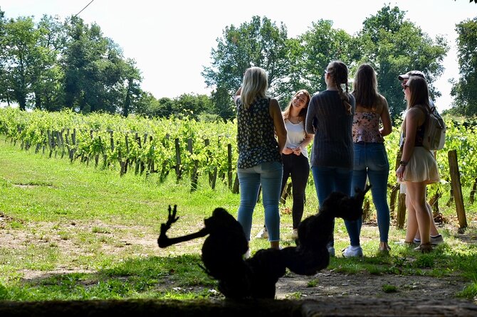 Backcountry E-Bike Adventure from Bordeaux: Wine Tasting & Lunch - Latresne and Sadirac by e-bike