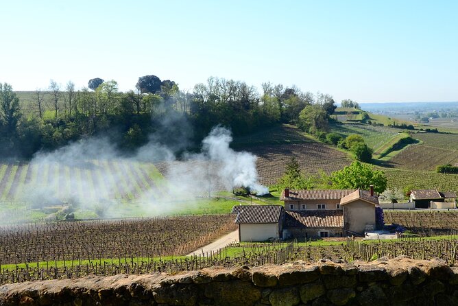 Backcountry E-Bike Adventure from Bordeaux: Wine Tasting & Lunch - The winery tasting and lunch in Créon