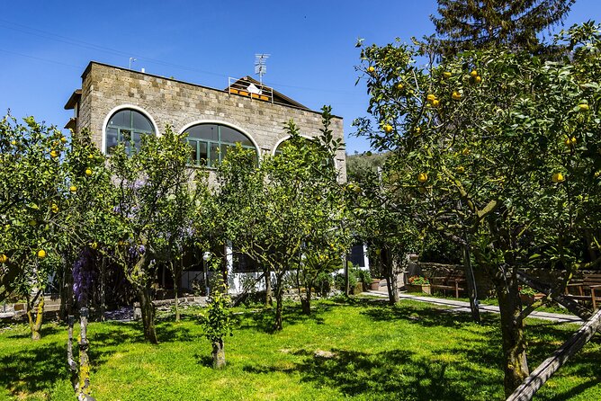 Backroads & Limoncello Experience: Sorrento E-Bike Tour - Key points to know before you go