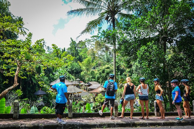 Bali Countryside Cycling Tours - Pakudui Village and the art stop