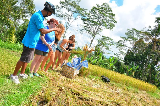 Bali Countryside Cycling Tours - Group size, hotel pickup, and the long-day warning