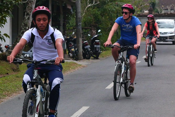 Bali Downhill Cultural Cycling Tour - Why this Ubud cycling day works so well