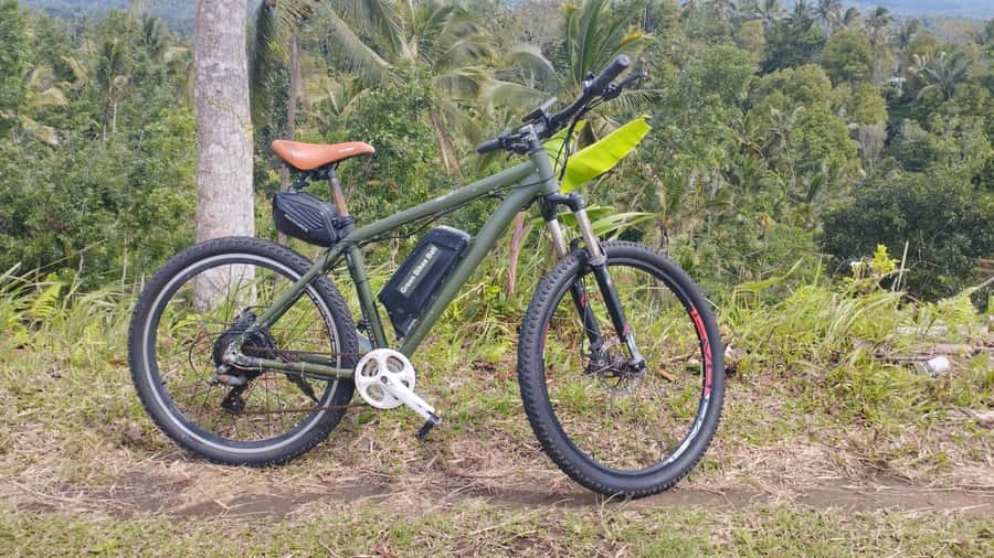 Bali: Jatiluwih Rice Terraces 1 Hour Electric Bike Tour - What the electric bike changes on the route