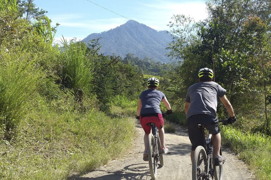 Bali: Jatiluwih Rice Terraces 1 Hour Electric Bike Tour - Bamboo forests and valley scenery