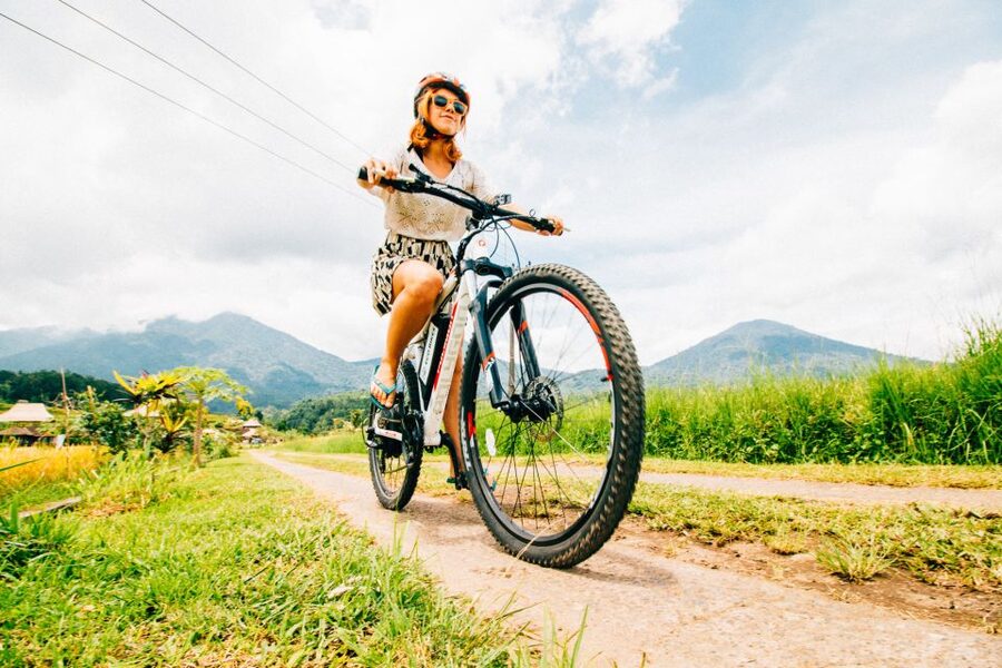 Bali: Jatiluwih Rice Terraces 1 Hour Electric Bike Tour - How much value do you get for $22?