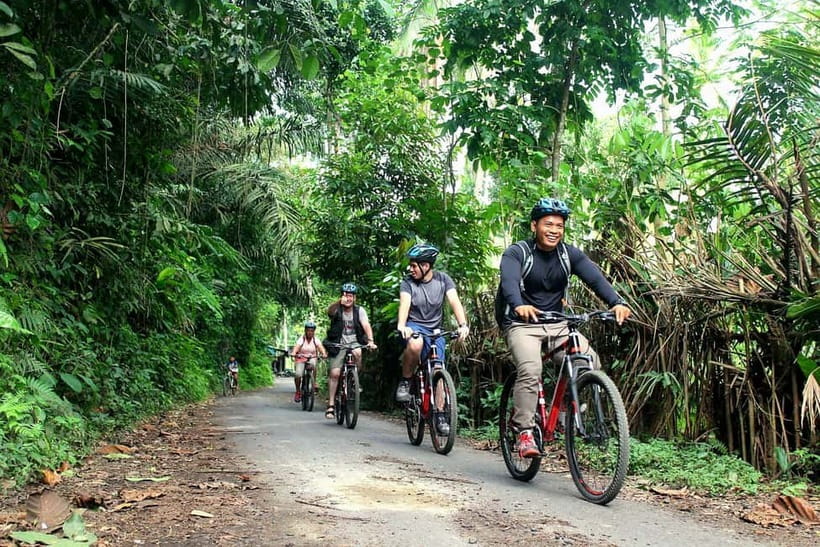 Bali: Kintamani Downhill Bike Tour, Jungle and Waterfalls - Key points at a glance