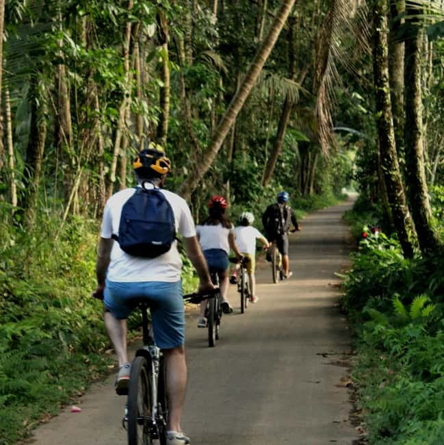 Bali: Kintamani Downhill Bike Tour, Jungle and Waterfalls - Starting above Bali at Kintamani