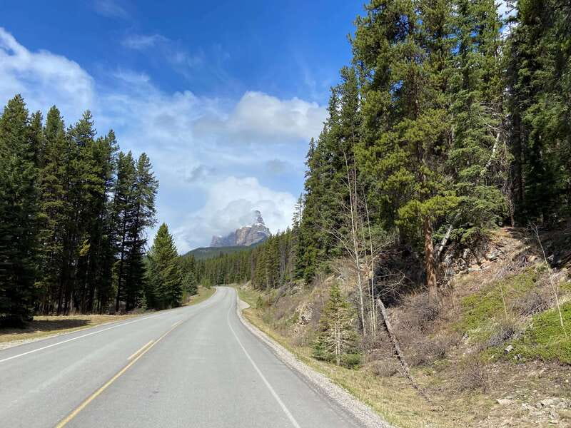 Banff: 4-Hour E-Bike and Walking Tour in Johnston Canyon - Wildlife, weather, and what you may see