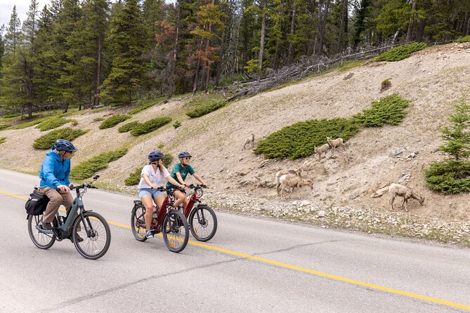 Banff Mountain Lakeside - E-bike Tour - Key points to know before you book