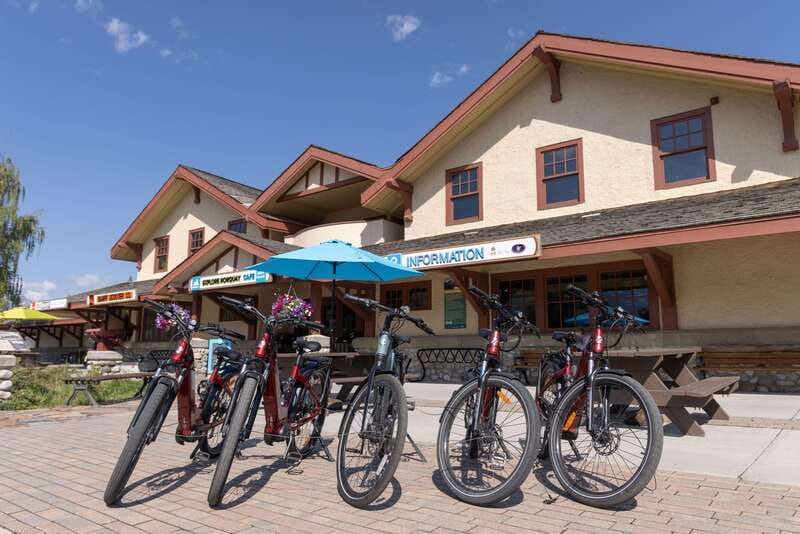 Banff: Mountain Lakeside Guided E-Bike Tour - The Minnewanka road and the chance of wildlife