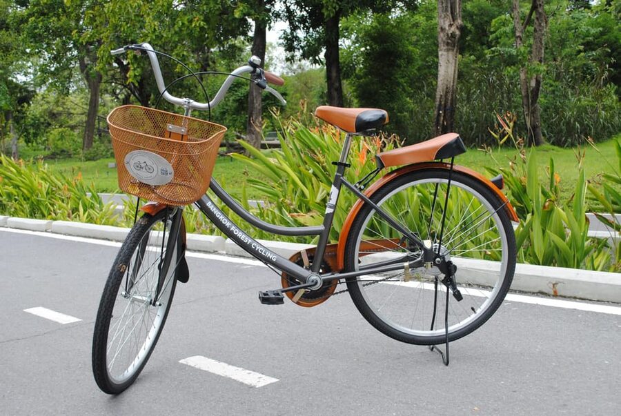 Bangkok Bicycle rental Benjakitti Park - Bridges, flowers, and Bangkok’s skyline