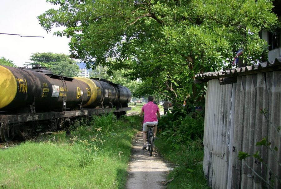 Bangkok: City Culture half-day Bike Tour - Lumpini Park and Bangkok’s famous monitor lizards
