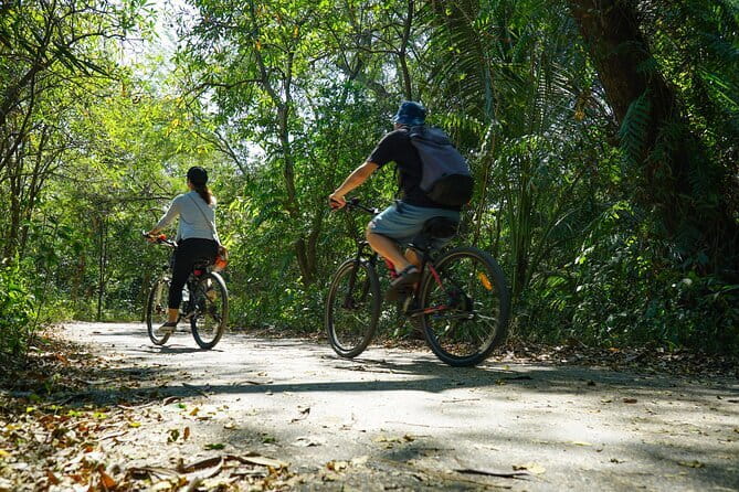 Bangkok Green Oasis Nature Bike Tour - Why Bang Krachao makes a smart Bangkok break