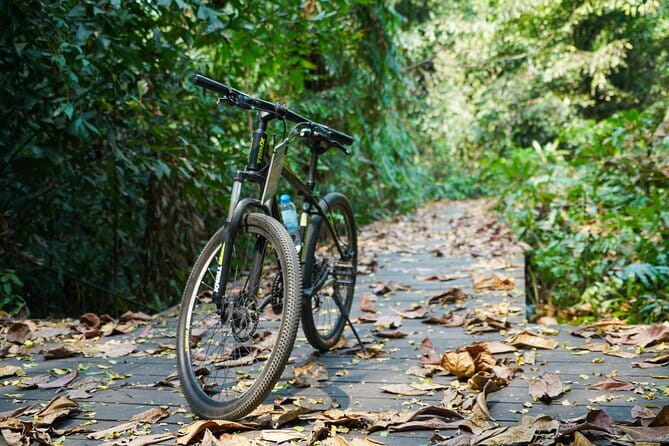 Bangkok Green Oasis Nature Bike Tour - How much value do you get for $56.14?
