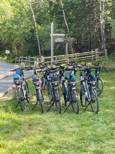 Bar Harbor: Acadia National Park Carriage Roads Ebike Tour - The guides are a major part of the value